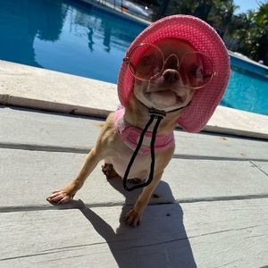 Meet your Posher, Harold